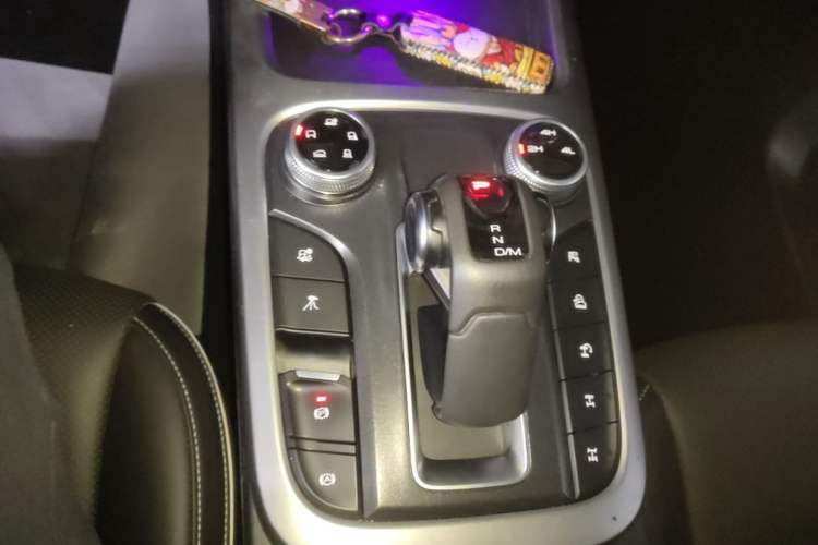Used Tank 300 2021 Off-Road Edition 2.0T Conqueror Gear Lever