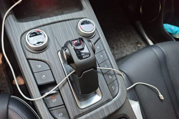 Used Tank 300 2021 City Edition 2.0T—Truly Stylish Gear Lever