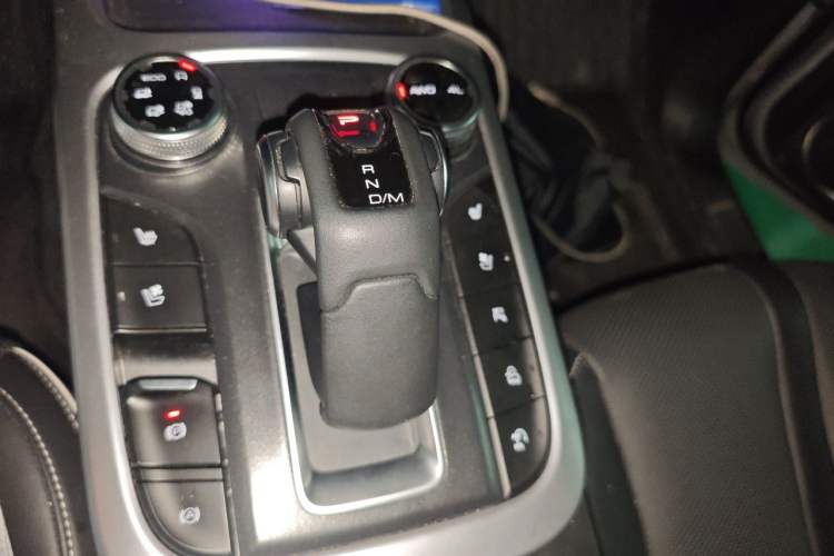 Used Tank 300 2021 City Edition 2.0T—Truly Stylish Gear Lever
