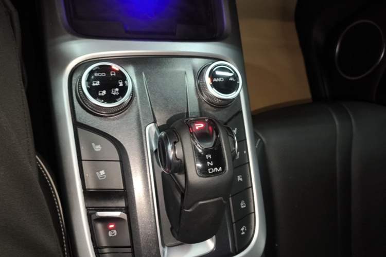 Used Tank 300 2021 City Edition 2.0T—Truly Stylish Gear Lever