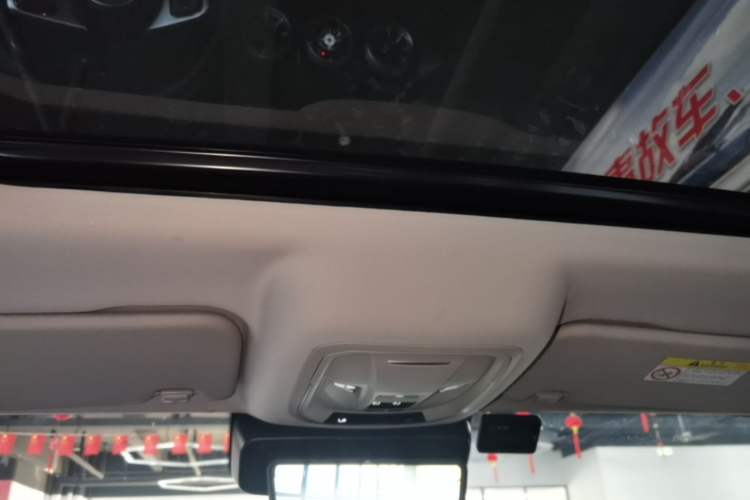 Used Tank 300 2021 City Edition 2.0T—Truly Stylish Headliner