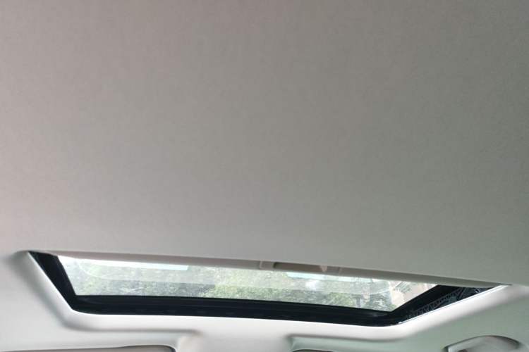 Used Tank 300 2021 2.0T Wind & Forest Iron Rider Headliner