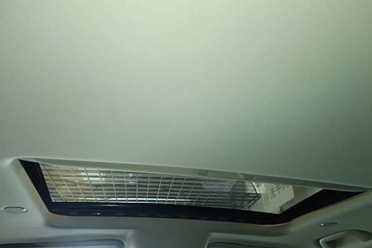 Used Tank 300 2021 City Edition 2.0T—Truly Stylish Headliner