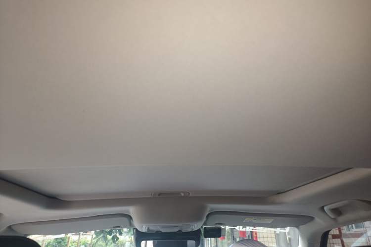 Used Tank 300 2021 Off-Road Edition 2.0T Conqueror Headliner
