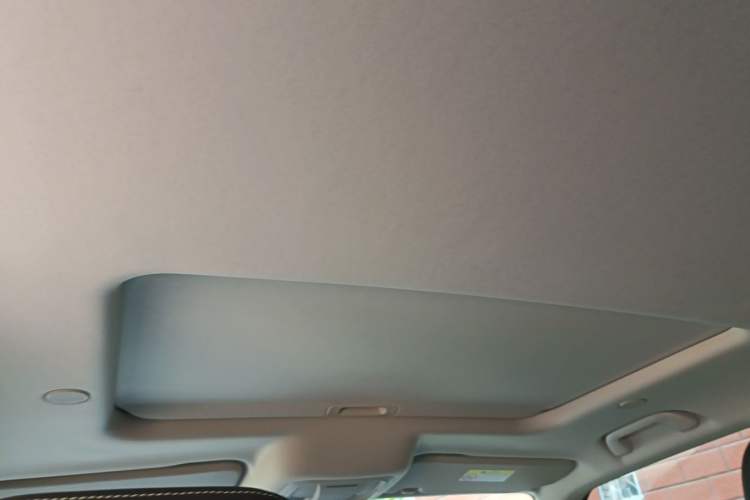 Used Tank 300 2021 City Edition 2.0T—Truly Stylish Headliner