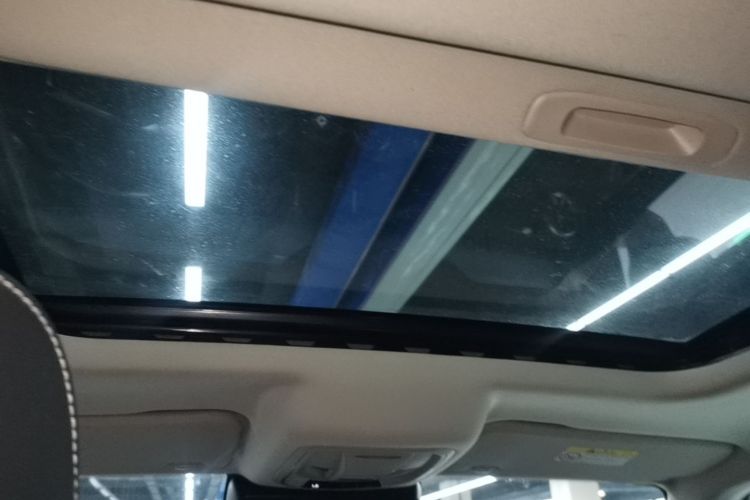 Used Tank 300 2021 Off-Road Edition 2.0T Conqueror Headliner