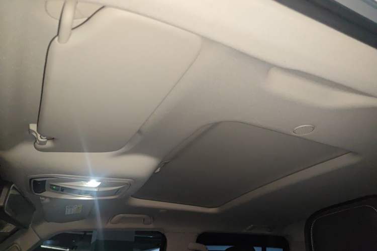 Used Tank 300 2021 City Edition 2.0T—Truly Stylish Headliner