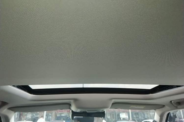 Used Tank 300 2021 2.0T Tank Ranger Headliner