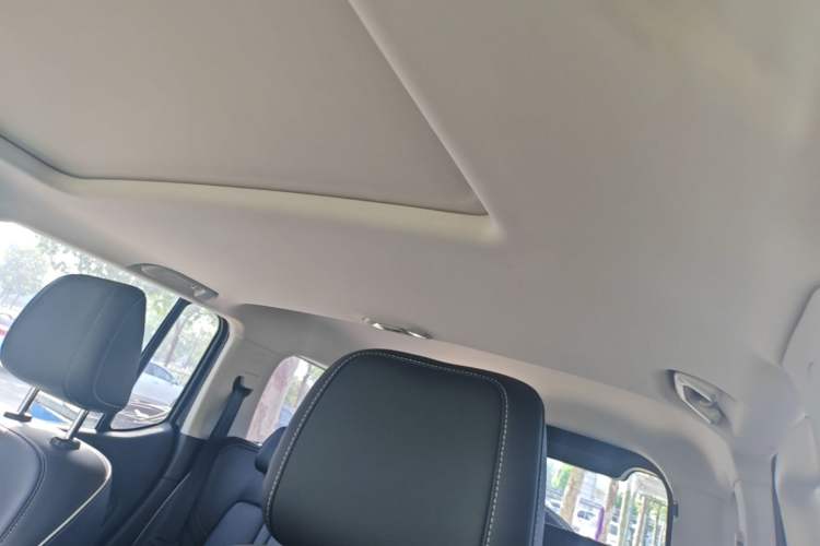 Used Tank 300 2021 Off-Road Edition 2.0T Conqueror Headliner