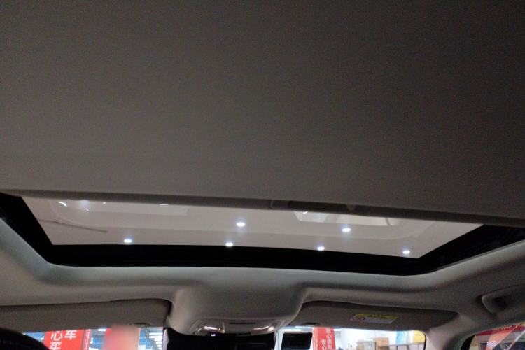 Used Tank 300 2021 Off-Road Edition 2.0T Conqueror Headliner