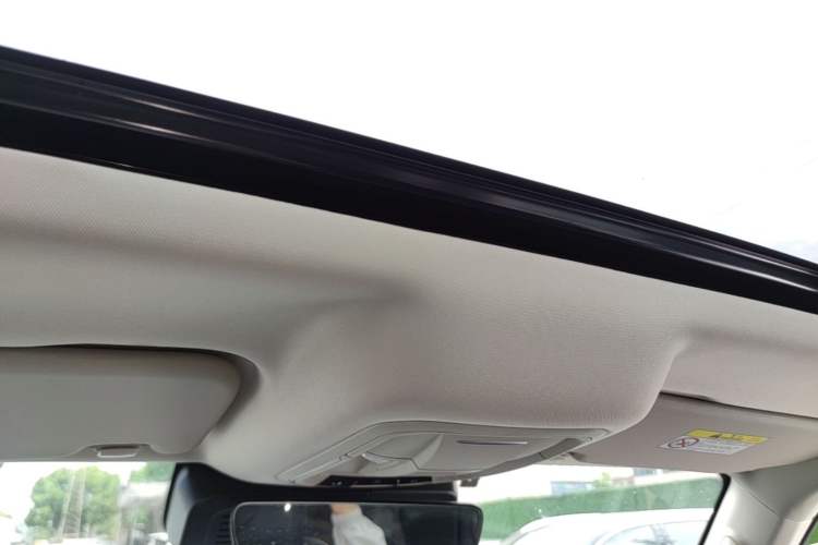 Used Tank 300 2021 Off-Road Edition 2.0T Conqueror Headliner