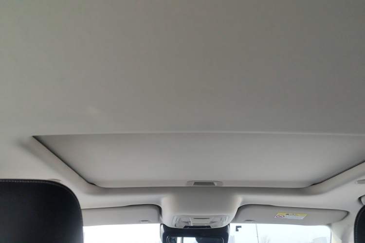 Used Tank 300 2021 City Edition 2.0T—Truly Stylish Headliner