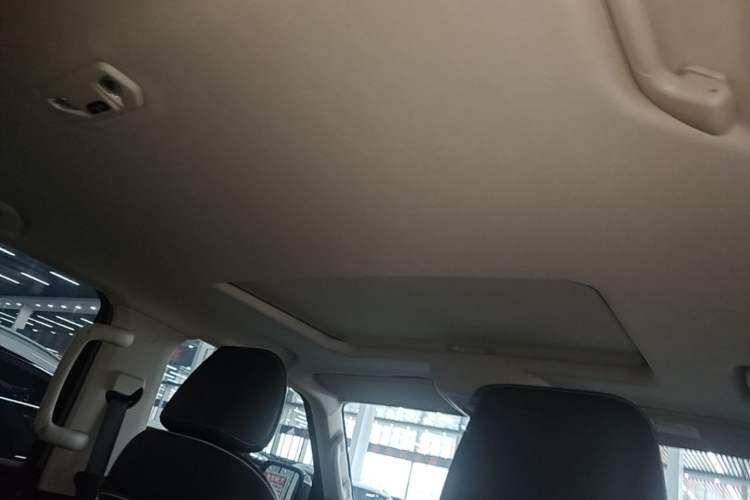 Used Tank 300 2021 City Edition 2.0T My Vision Model Headliner