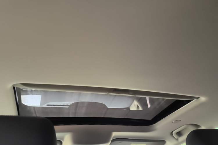 Used Tank 300 2021 City Edition 2.0T—Truly Stylish Headliner