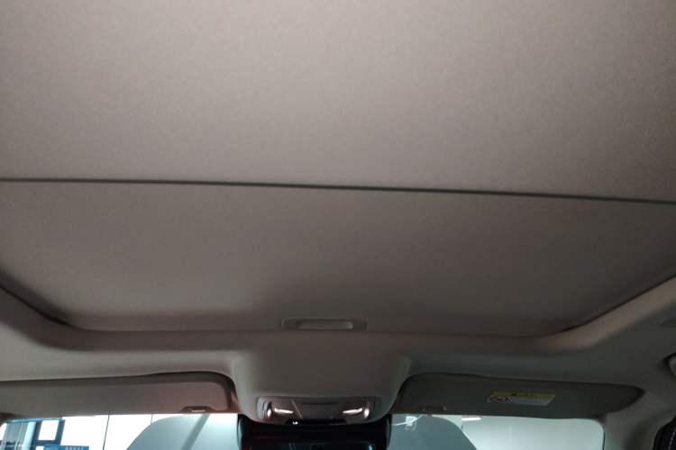 Used Tank 300 2021 City Edition 2.0T—Truly Stylish Headliner