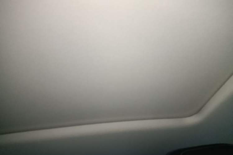 Used Tank 300 2021 City Edition 2.0T—Truly Stylish Headliner