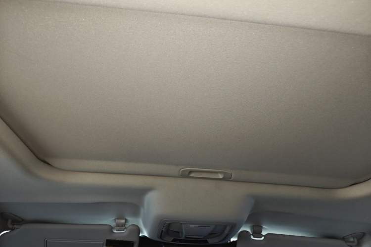 Used Tank 300 2021 City Edition 2.0T—Truly Stylish Headliner