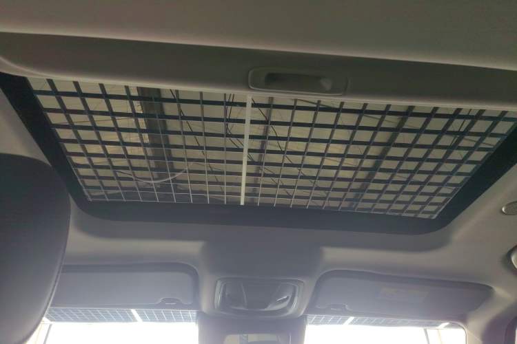 Used Tank 300 2021 City Edition 2.0T—Truly Stylish Headliner