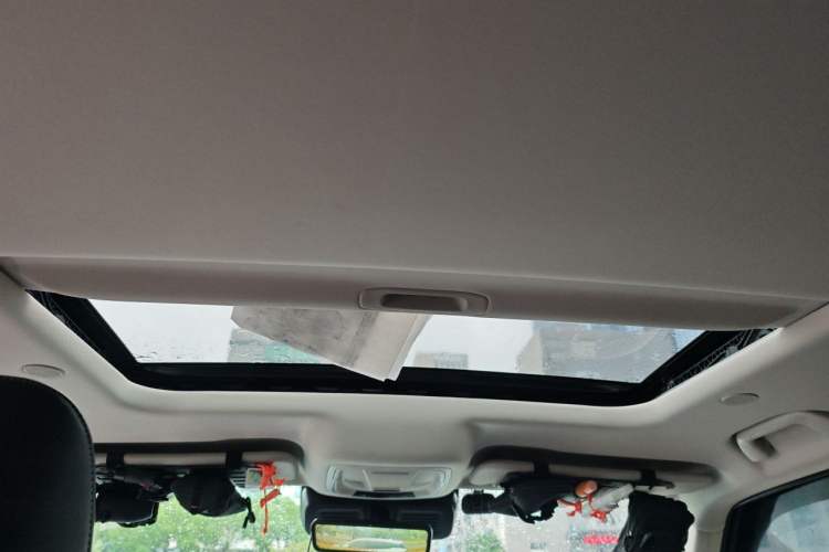 Used Tank 300 2021 City Edition 2.0T—Truly Stylish Headliner