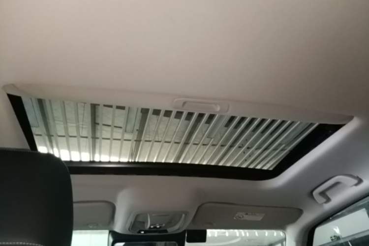 Used Tank 300 2021 Off-Road Edition 2.0T Conqueror Headliner