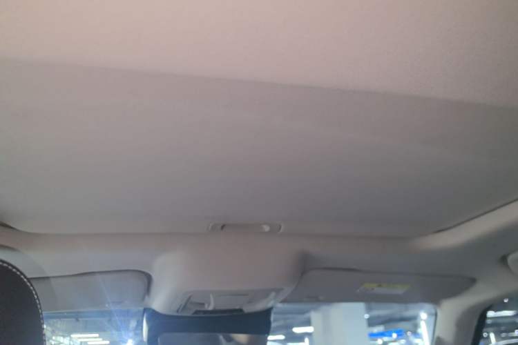 Used Tank 300 2021 Off-Road Edition 2.0T Conqueror Headliner