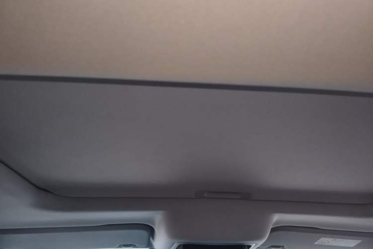 Used Tank 300 2021 City Edition 2.0T—Truly Stylish Headliner