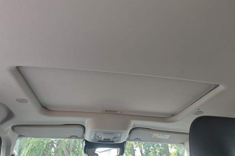 Used Tank 300 2021 City Edition 2.0T—Truly Stylish Headliner