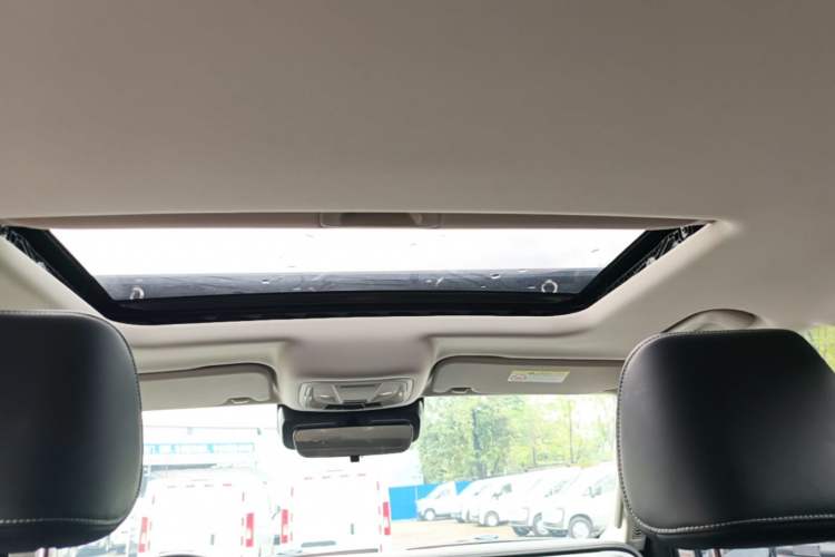 Used Tank 300 2021 Off-Road Edition 2.0T Conqueror Headliner