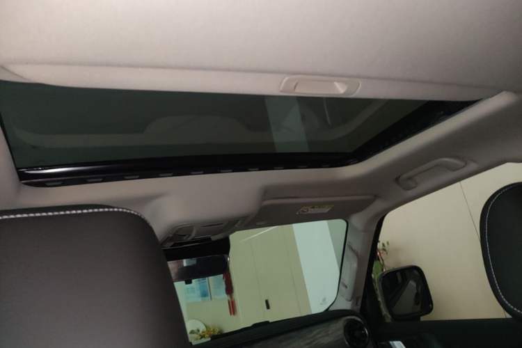 Used Tank 300 2021 Off-Road Edition 2.0T Conqueror Headliner