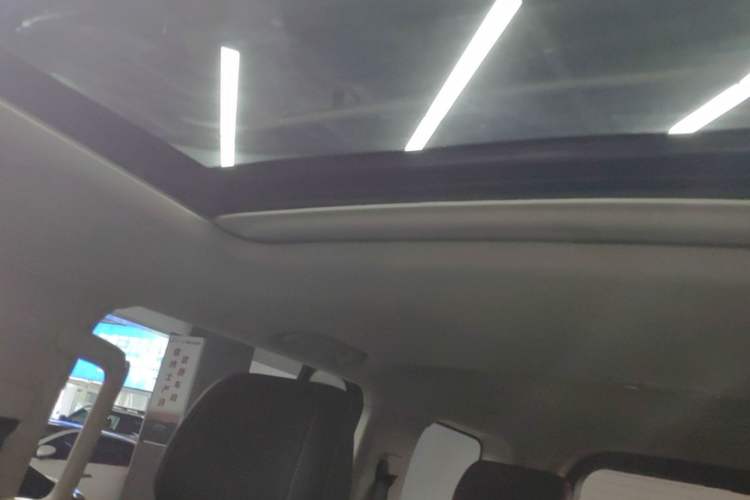 Used Tank 300 2021 City Edition 2.0T—Truly Stylish Headliner