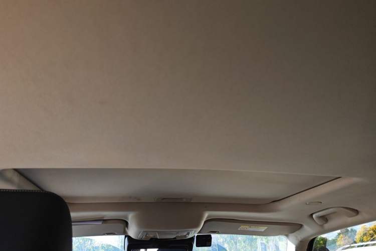 Used Tank 300 2021 City Edition 2.0T—Truly Stylish Headliner