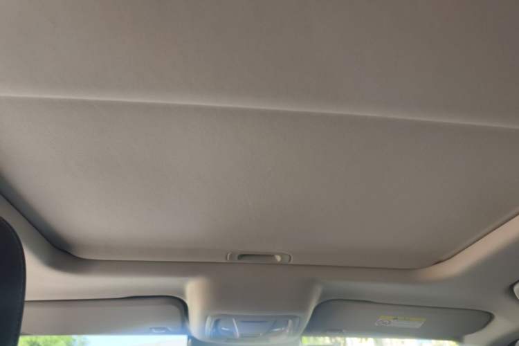 Used Tank 300 2021 Off-Road Edition 2.0T Conqueror Headliner