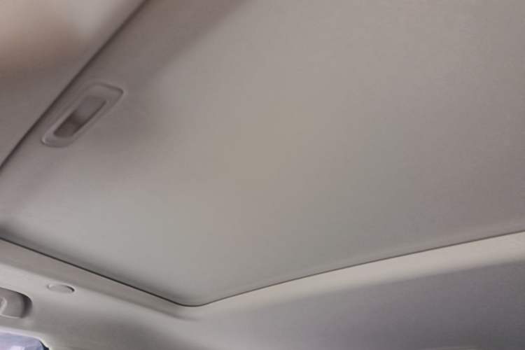 Used Tank 300 2021 City Edition 2.0T—Truly Stylish Headliner