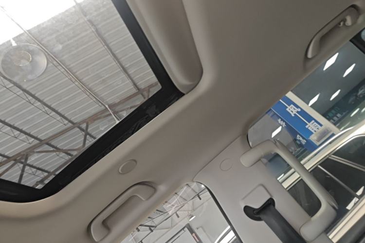 Used Tank 300 2021 City Edition 2.0T—Truly Stylish Headliner