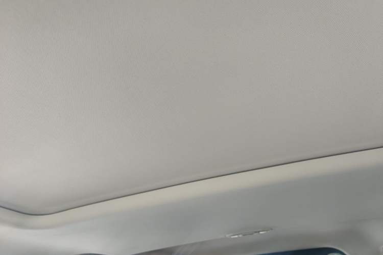 Used Tank 300 2021 Off-Road Edition 2.0T Challenger Headliner