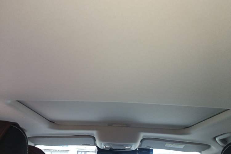 Used Tank 300 2021 Off-Road Edition 2.0T Conqueror Headliner