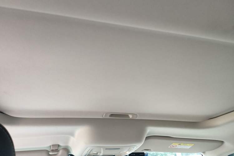 Used Tank 300 2021 City Edition 2.0T—Truly Stylish Headliner