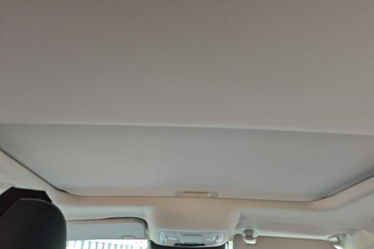 Used Tank 300 2021 City Edition 2.0T—Truly Stylish Headliner
