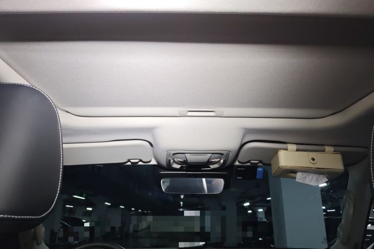 Used Tank 300 2021 2.0T Wind & Forest Iron Rider Headliner