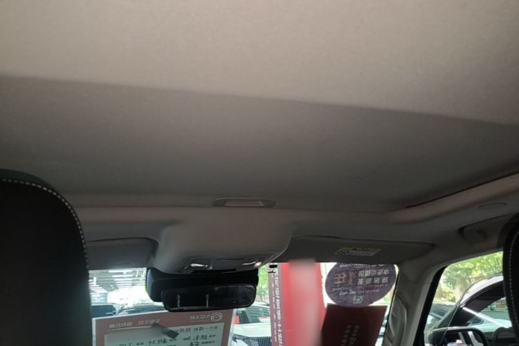 Used Tank 300 2021 City Edition 2.0T—Truly Stylish Headliner
