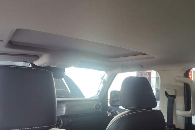 Used Tank 300 2021 City Edition 2.0T—Truly Stylish Headliner