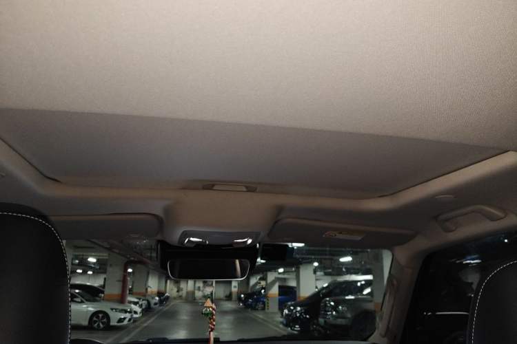 Used Tank 300 2021 City Edition 2.0T—Truly Stylish Headliner