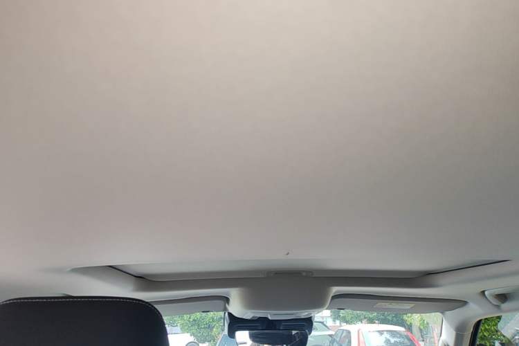 Used Tank 300 2021 Off-Road Edition 2.0T Conqueror Headliner