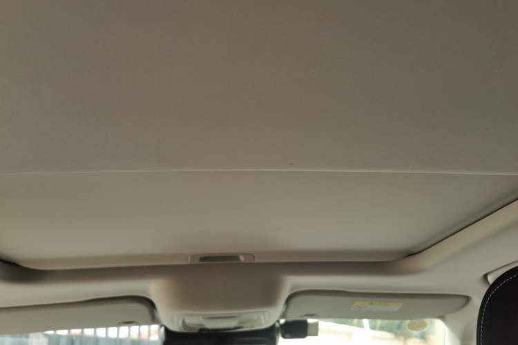 Used Tank 300 2021 Off-Road Edition 2.0T Conqueror Headliner