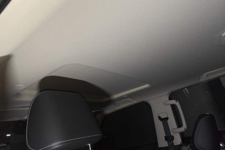 Used Tank 300 2021 City Edition 2.0T—Truly Stylish Headliner