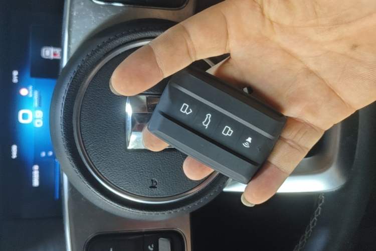 Used Tank 300 2021 City Edition 2.0T—Truly Stylish Interior 1