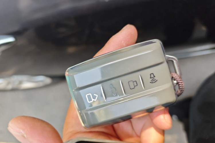 Used Tank 300 2021 City Edition 2.0T—Truly Stylish Interior 1