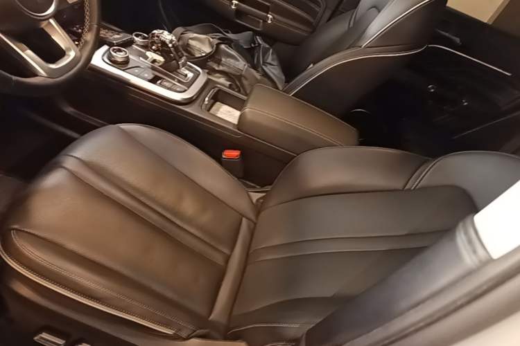 Used Tank 300 2021 City Edition 2.0T—Truly Stylish Left Front Seat