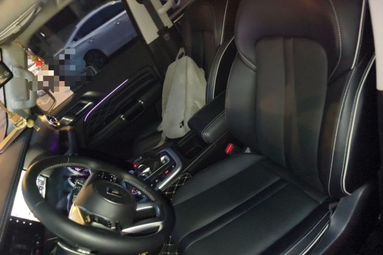 Used Tank 300 2021 City Edition 2.0T—Truly Stylish Left Front Seat
