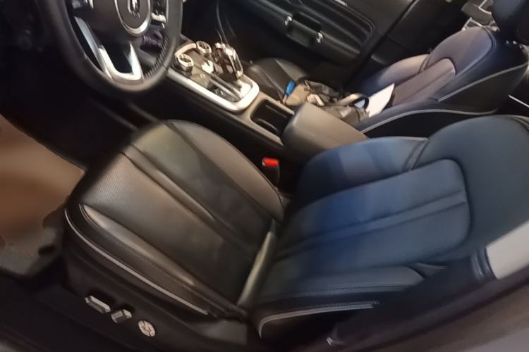 Used Tank 300 2021 City Edition 2.0T—Truly Stylish Left Front Seat